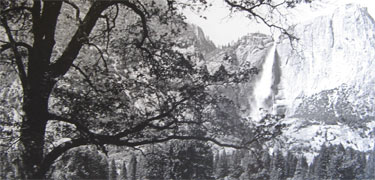 Yosemite Falls in Yosemite National Park.